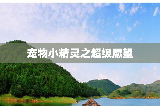 宠物小精灵之超级愿望图片