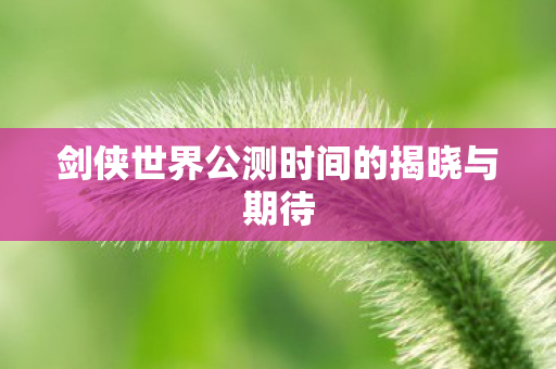 剑侠世界公测时间的揭晓与期待图片
