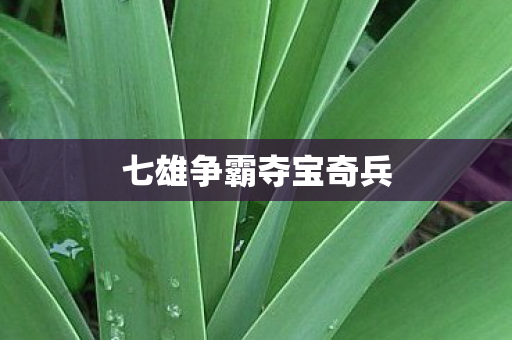 七雄争霸夺宝奇兵图片