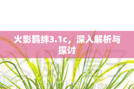 深入解析与探讨图片