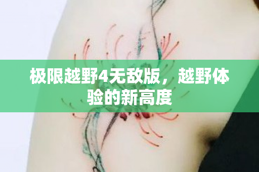 极限越野4无敌版图片