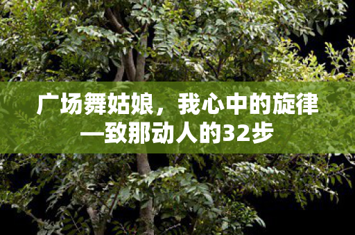 致那动人的32步图片
