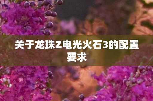 关于龙珠Z电光火石3的配置要求图片