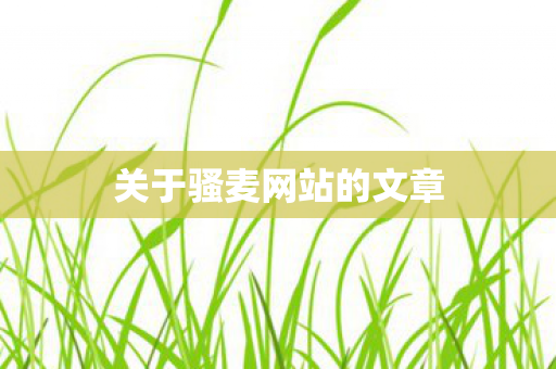 关于骚麦网站的文章图片