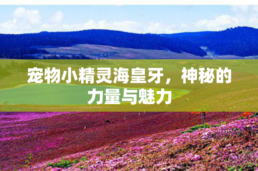 宠物小精灵海皇牙图片