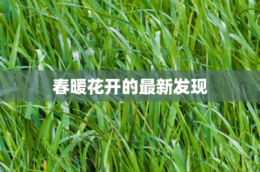 春暖花开的最新发现图片