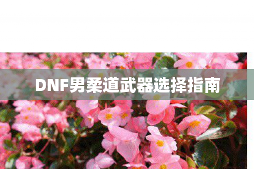 DNF男柔道武器选择指南图片