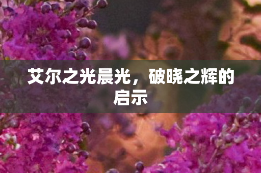 破晓之辉的启示图片