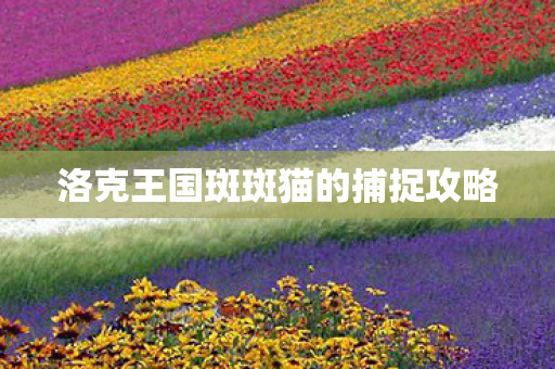 洛克王国斑斑猫的捕捉攻略图片
