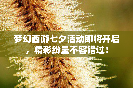 梦幻西游七夕活动即将开启图片