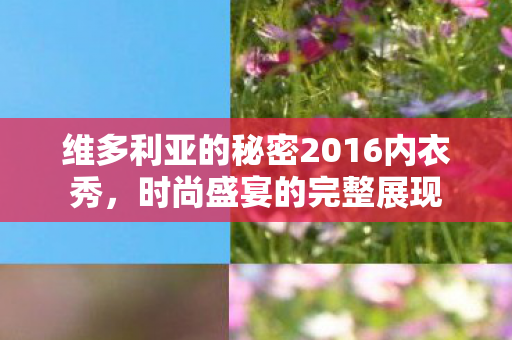 维多利亚的秘密2016内衣秀图片