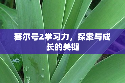 探索与成长的关键图片