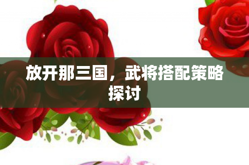 武将搭配策略探讨图片