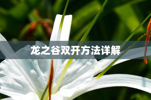 龙之谷双开方法详解图片