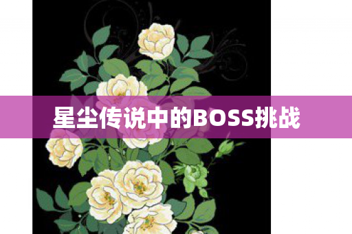 星尘传说中的BOSS挑战图片