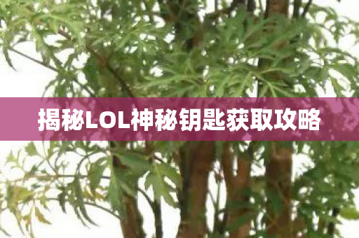 揭秘LOL神秘钥匙获取攻略图片