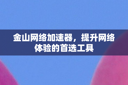 提升网络体验的首选工具图片