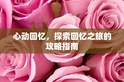 探索回忆之旅的攻略指南图片