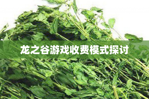 龙之谷游戏收费模式探讨图片