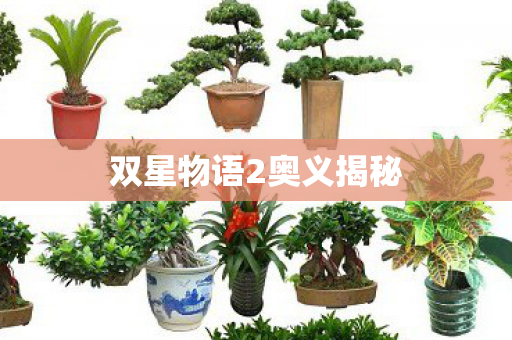 双星物语2奥义揭秘图片