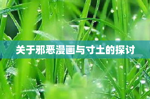 关于邪恶漫画与寸土的探讨图片
