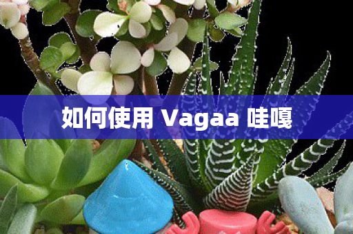 如何使用 Vagaa 哇嘎图片