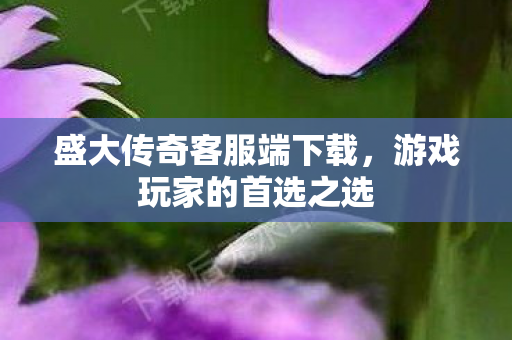 盛大传奇客服端下载图片