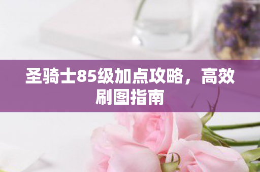 圣骑士85级加点攻略图片