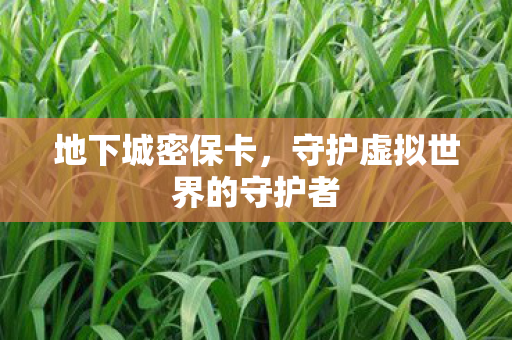 守护虚拟世界的守护者图片