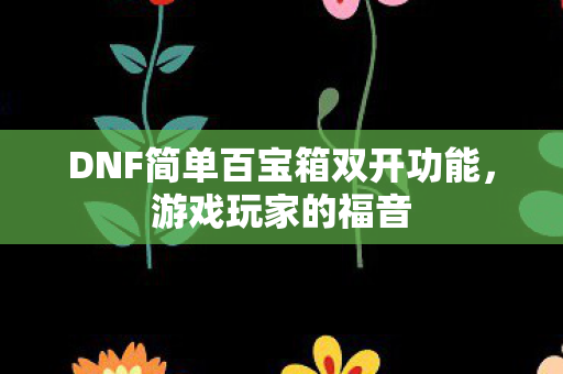 DNF简单百宝箱双开功能图片