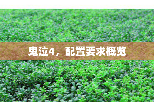 配置要求概览图片