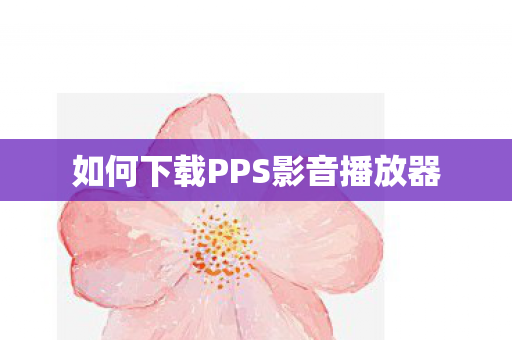 如何下载PPS影音播放器图片