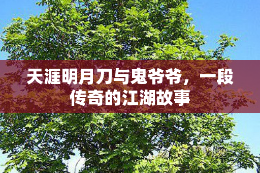 天涯明月刀与鬼爷爷图片