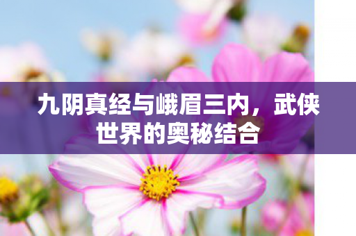 九阴真经与峨眉三内图片