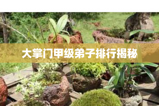 大掌门甲级弟子排行揭秘图片