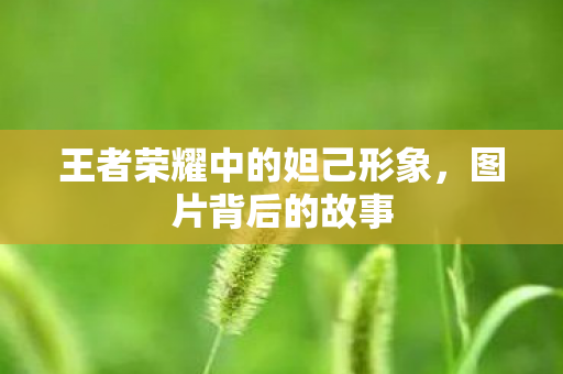 王者荣耀中的妲己形象图片