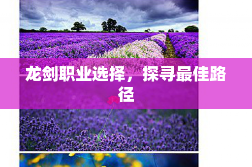 龙剑职业选择图片