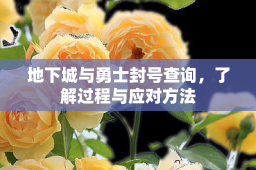 地下城与勇士封号查询图片