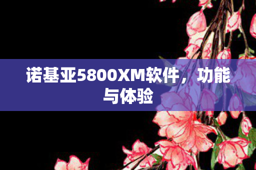诺基亚5800XM软件图片