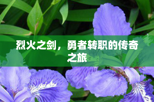勇者转职的传奇之旅图片