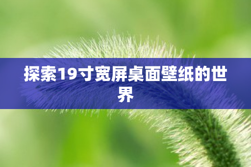 探索19寸宽屏桌面壁纸的世界图片