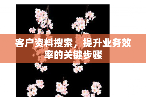 提升业务效率的关键步骤图片