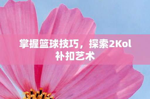 探索2Kol补扣艺术图片