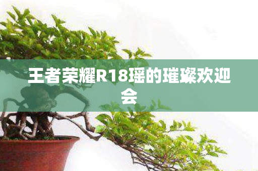 王者荣耀R18瑶的璀璨欢迎会图片