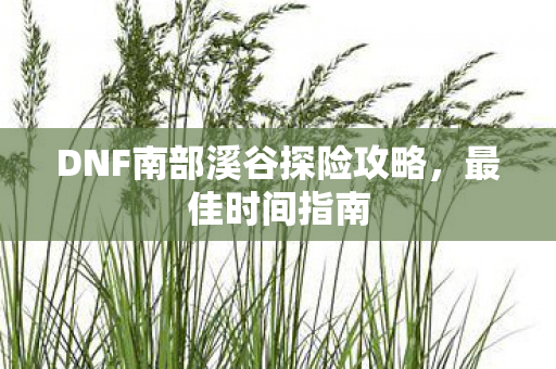 DNF南部溪谷探险攻略图片