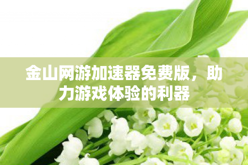 金山网游加速器免费版图片