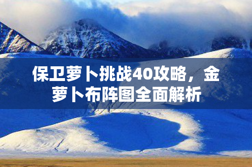 保卫萝卜挑战40攻略图片
