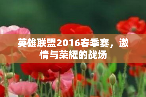 英雄联盟2016春季赛图片