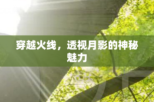 透视月影的神秘魅力图片