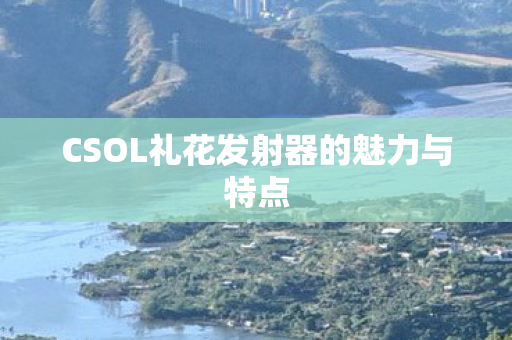CSOL礼花发射器的魅力与特点图片